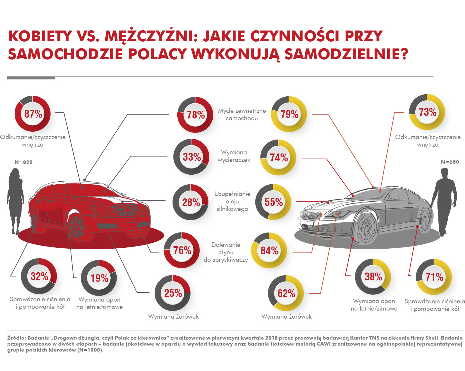 Jakie czynności przy samochodzie Polacy wykonują samodzielnie?